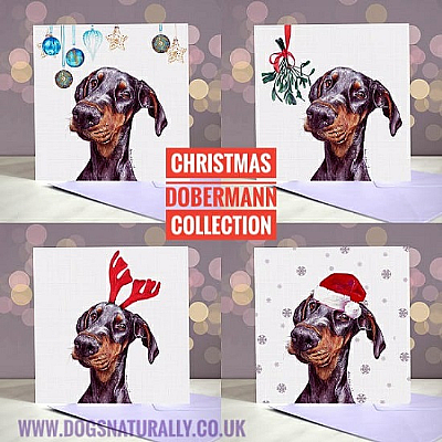 Dobermann Christmas Card Collection
